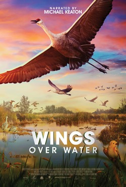 Wings Over Water