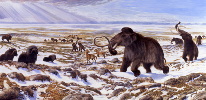 Pleistocene epoch: The last ice age