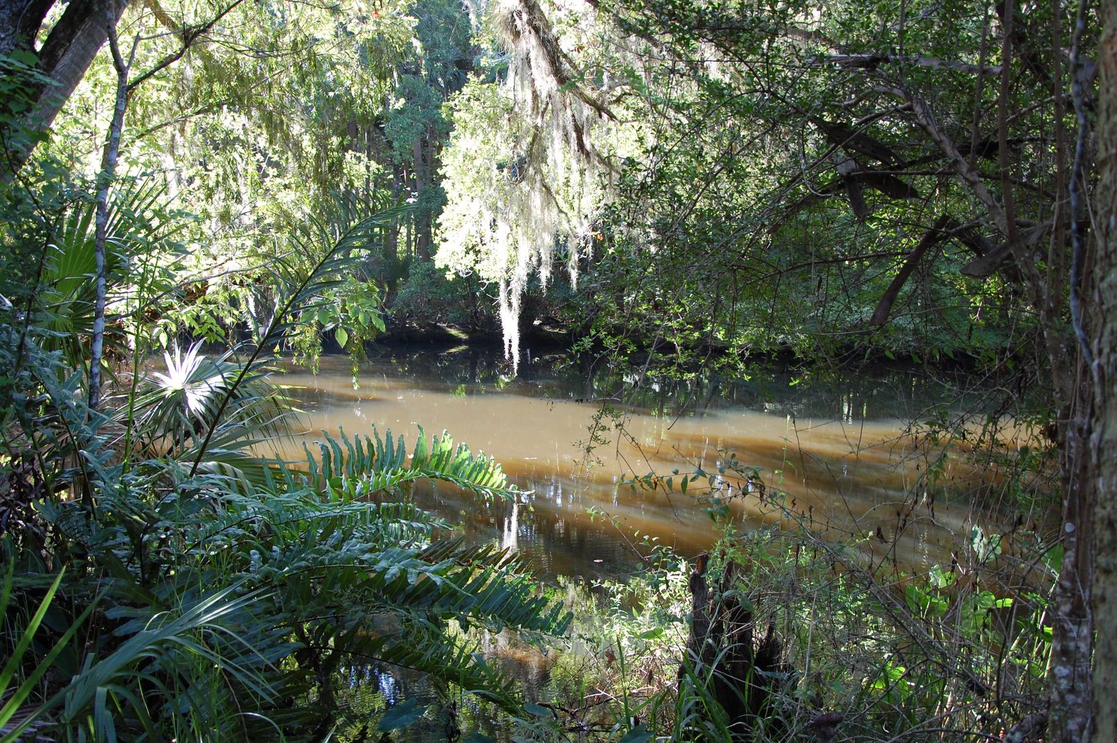 Gamble Place and Its Many Ecosystems