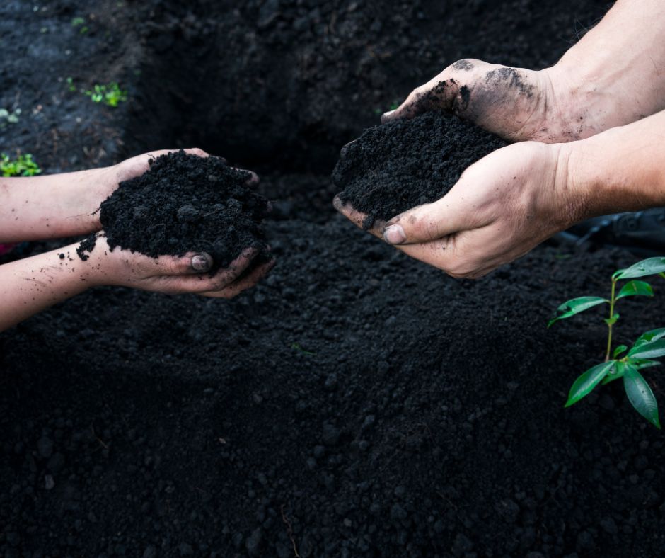 Florida Arbor Day