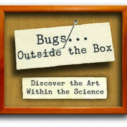 Bugs Outside the Box: Discover the Art Within the Sciences