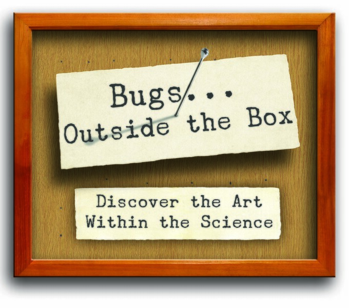 Bugs Outside the Box: Discover the Art Within the Sciences