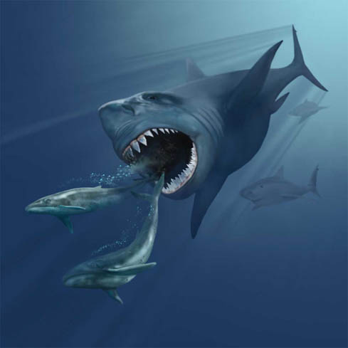 giant shark megalodon